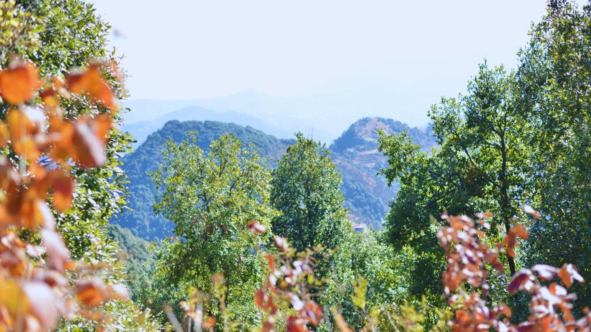 Haut Monde King'S Paradise Resort 卡纳塔尔 外观 照片